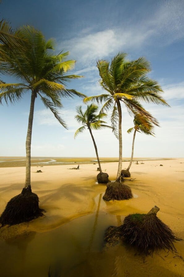 16 melhores pontos turísticos cheios de encanto na Ilha de Marajó