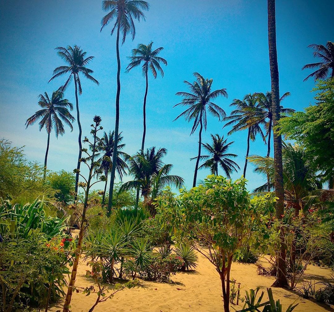 Praias de Jericoacoara visite 7 irresistíveis cenários naturais do