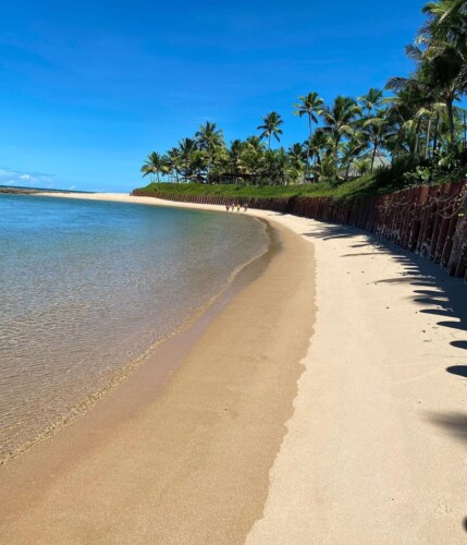 Praia de Muro Alto descubra as atrações desse lugar incrível