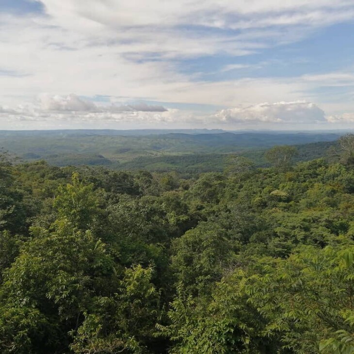 Chapada Do Araripe A Atra O Arqueol Gica Imperd Vel No Nordeste