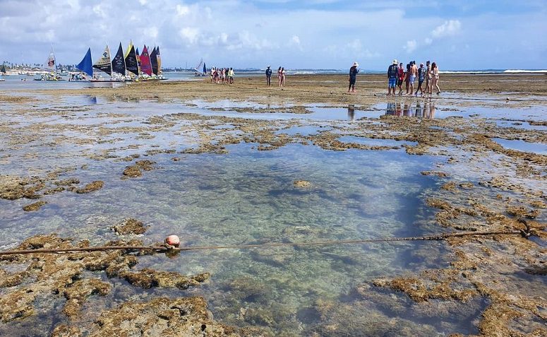 Piscinas Naturais De Porto De Galinhas Como Ir Hospedagens E Dicas