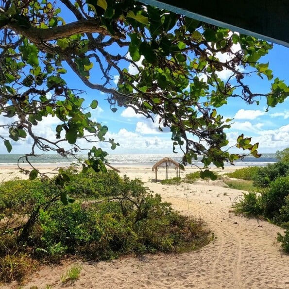 Ilha de Marajó como ir onde ficar melhores atrações e fotos lindas