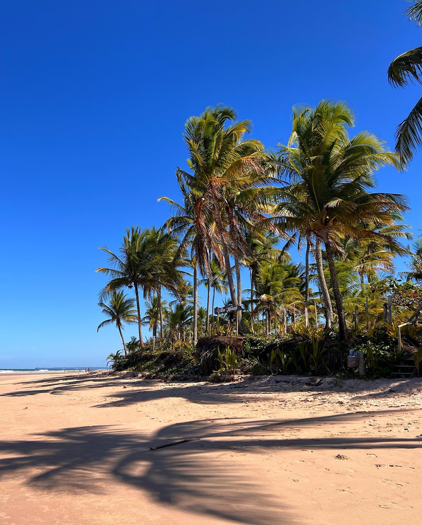 Barra Grande Bahia O Que Fazer Praias Quando Ir E Onde Ficar