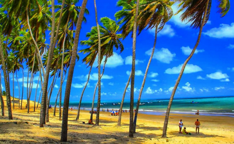 Praias De Jo O Pessoa Que Merecem Sua Visita Fotos