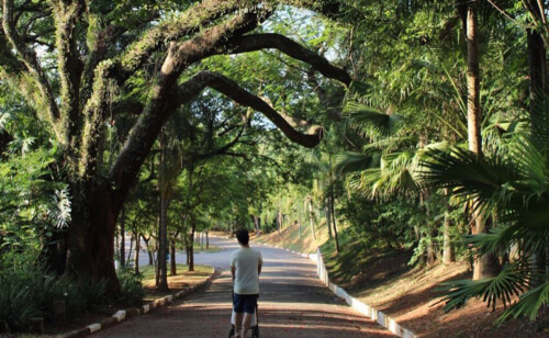 O Que Fazer Em Campinas Atra Es Da Metr Pole Do Interior