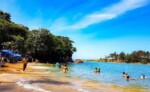 Ilha Do Bananal Guia Para Conhecer Esse Para So Natural Do Tocantins