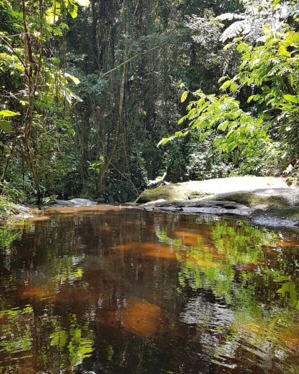 Serra Da Cantareira Veja Trilhas E Cachoeiras Nesse Recanto Paulista 3514