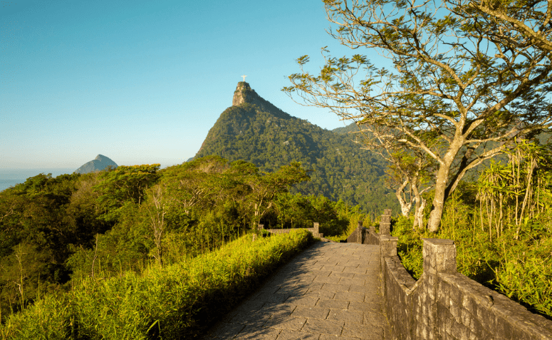 Parque Nacional Da Tijuca O Que Fazer Na Floresta Urbana Carioca 4673