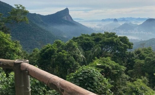 Parque Nacional Da Tijuca O Que Fazer Na Floresta Urbana Carioca 8673