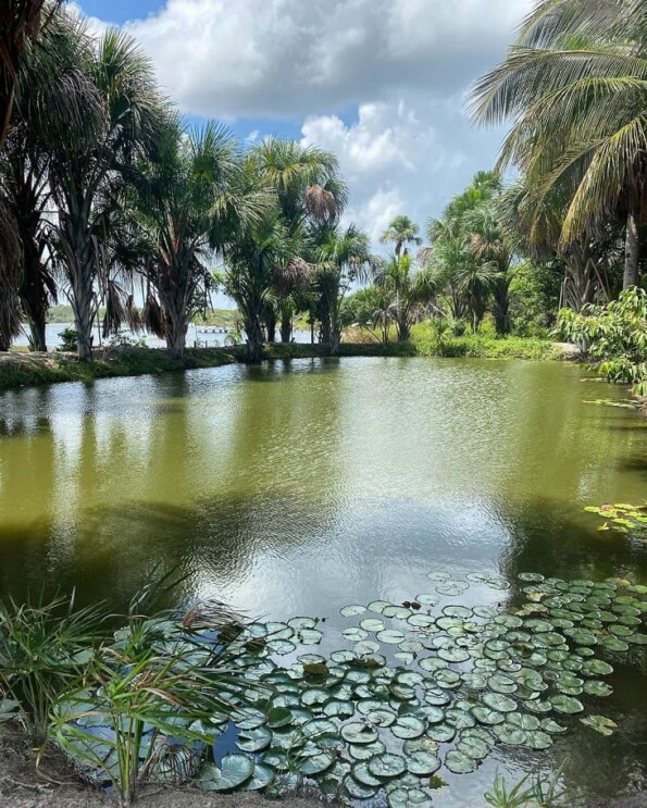 Lagoa Do Cassó Como Chegar O Que Fazer E Dicas Para Curtir O Destino 3923