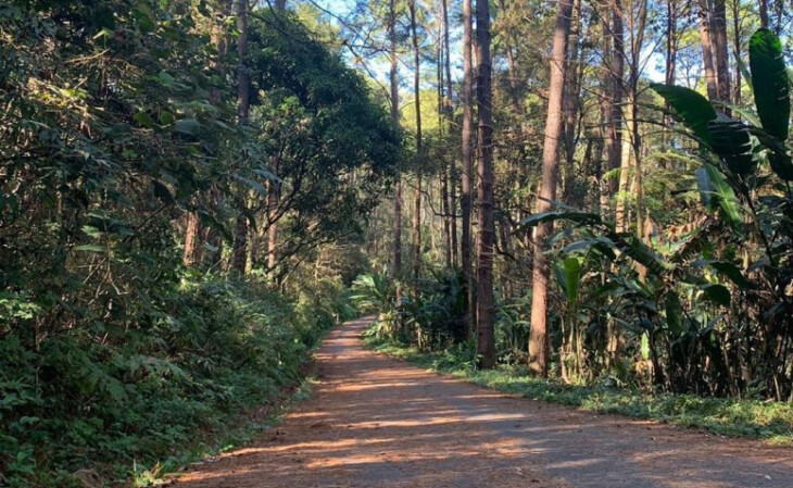 16 Parques Para Andar De Bicicleta Em São Paulo