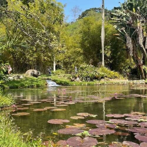 Jardim Botânico Rj Como Ir Principais Atrações E Dicas