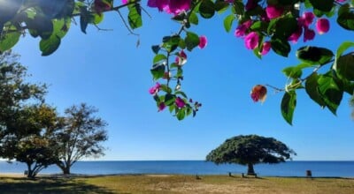 Conheça a Lagoa dos Patos, a maior laguna da América do Sul